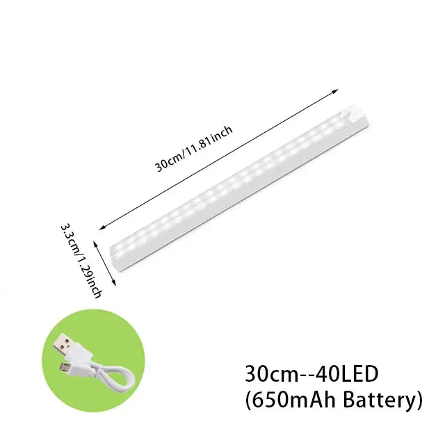 Motion Sensor Light